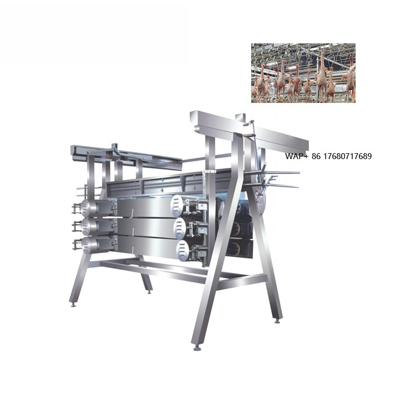 Chicken Plucker Machine - Máquina Desplumadora de Pollos, Equipo de