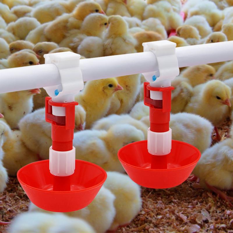 Chicken Nipple Drinker - Bebedero automático con tetina para agua