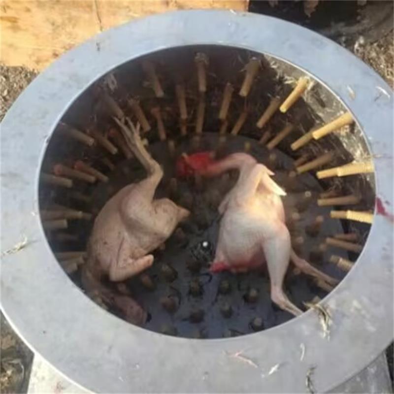 Chicken Plucker Machine - Nueva máquina de depilación de aves