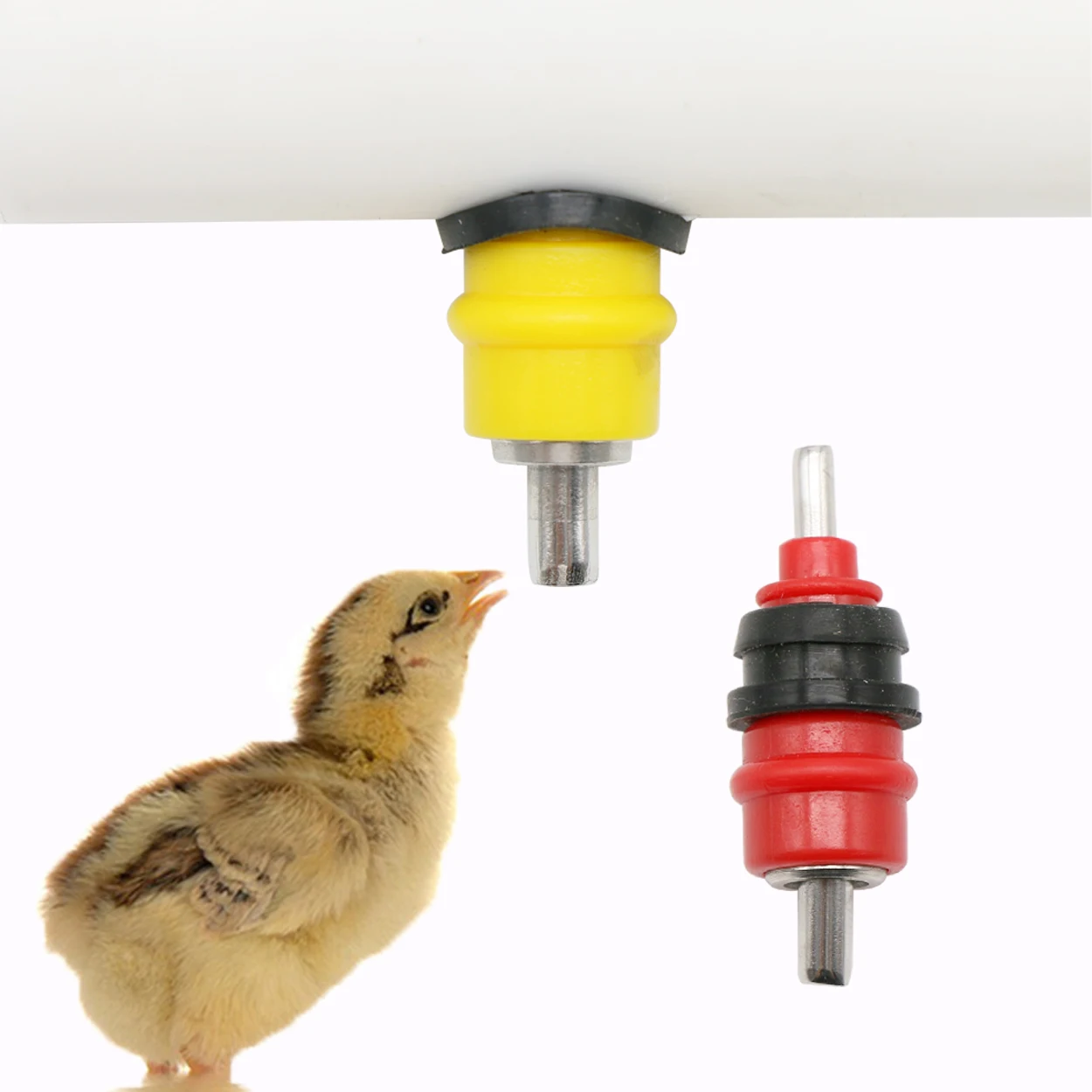 Chicken Nipple Drinker - 10 Uds codorniz paloma bebedero para