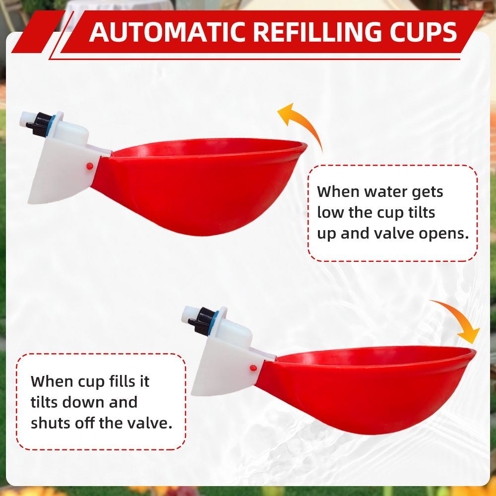 Bebedero Automático para Pollo - Chicken Nipple Drinker reseña y precio