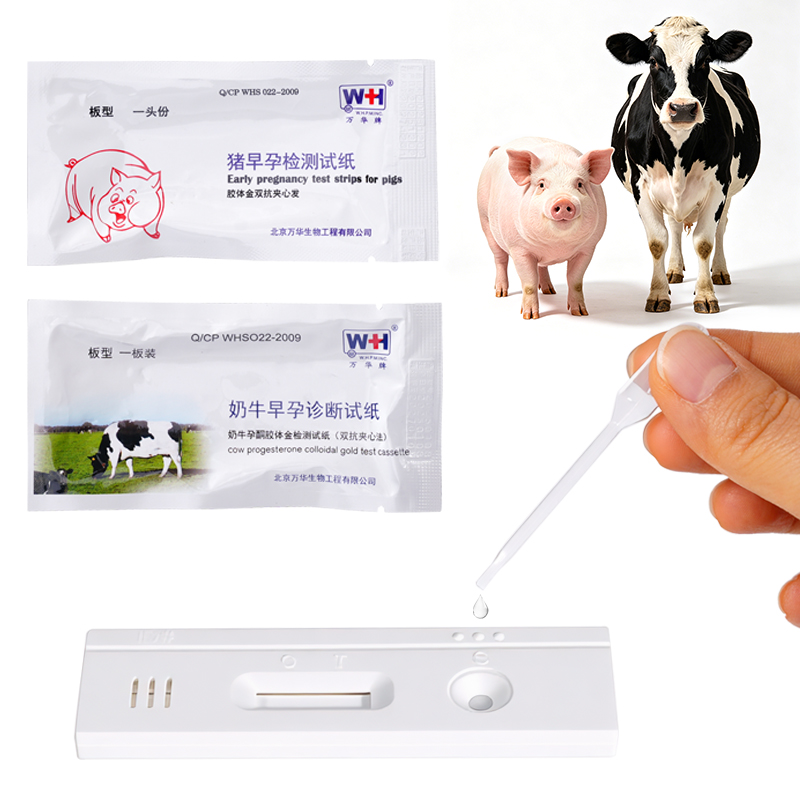10 tiras reactivas de detecció - Veterinary Syringe Gun reseña y precio