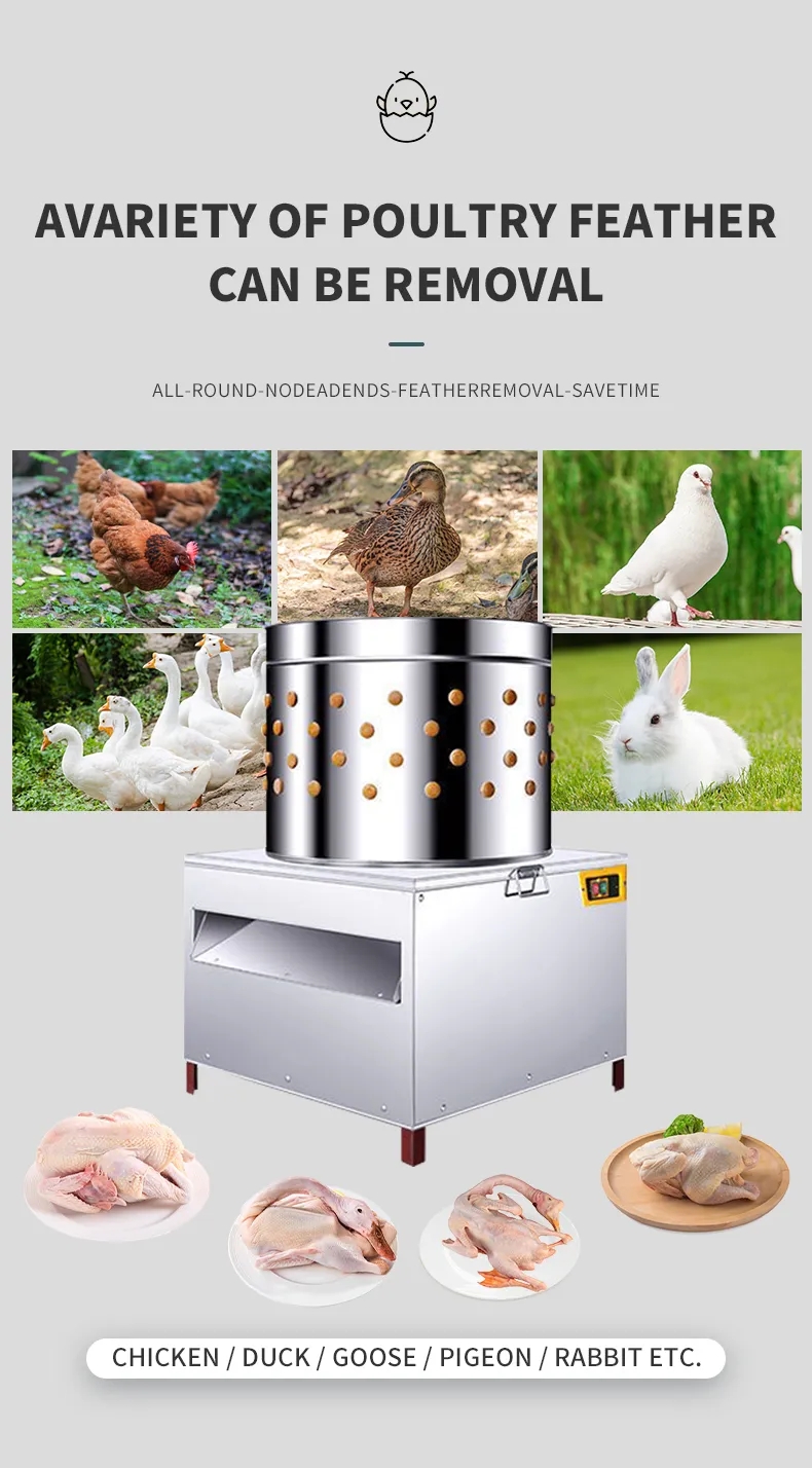 Máquina Desplumadora de Pollos - Chicken Plucker Machine reseña y precio