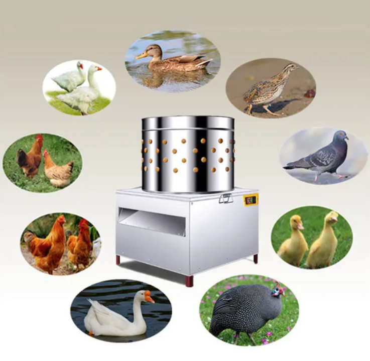 Máquina Desplumadora de Pollos - Chicken Plucker Machine reseña y precio