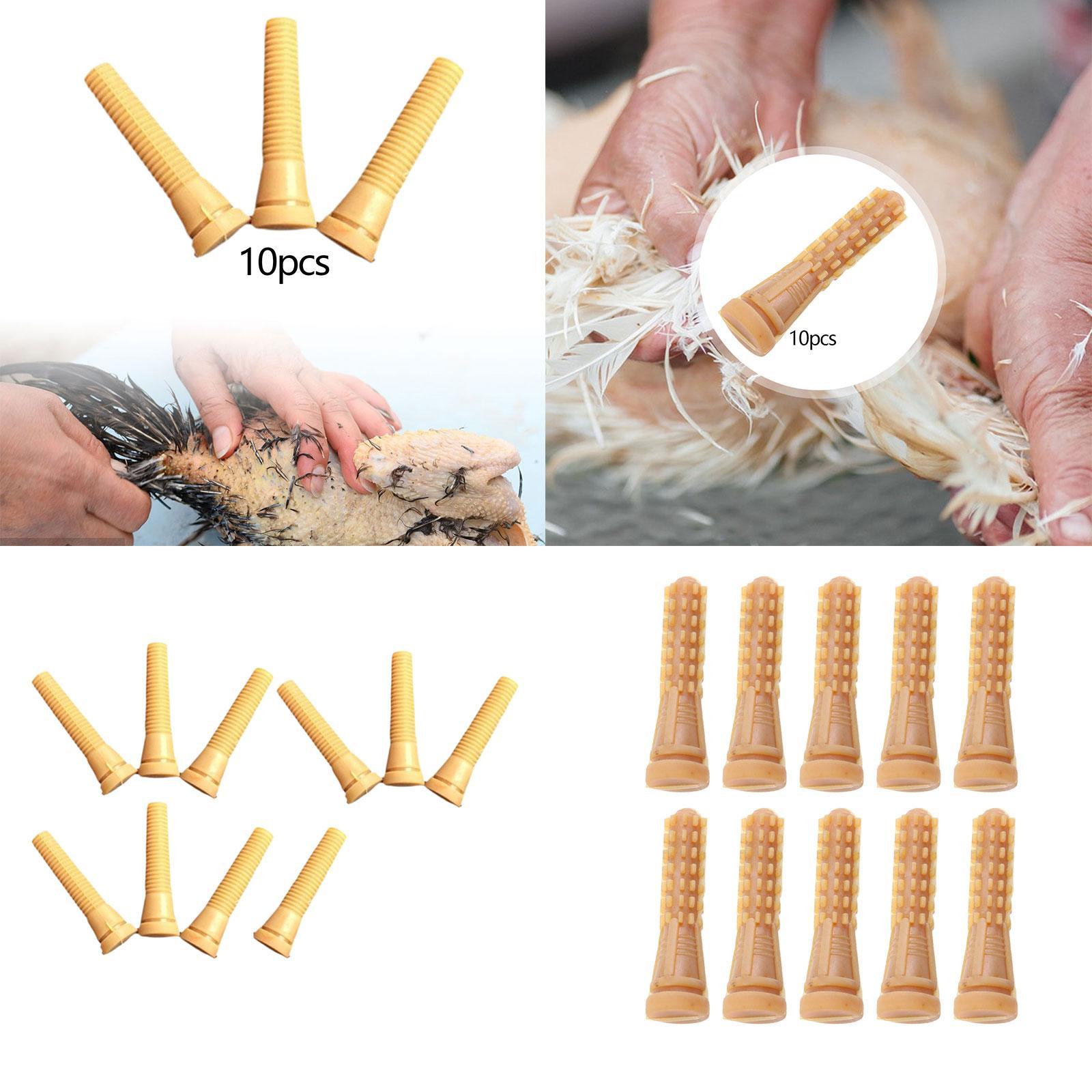 Piezas de Repuesto para Desplu - Chicken Plucker Machine reseña y precio