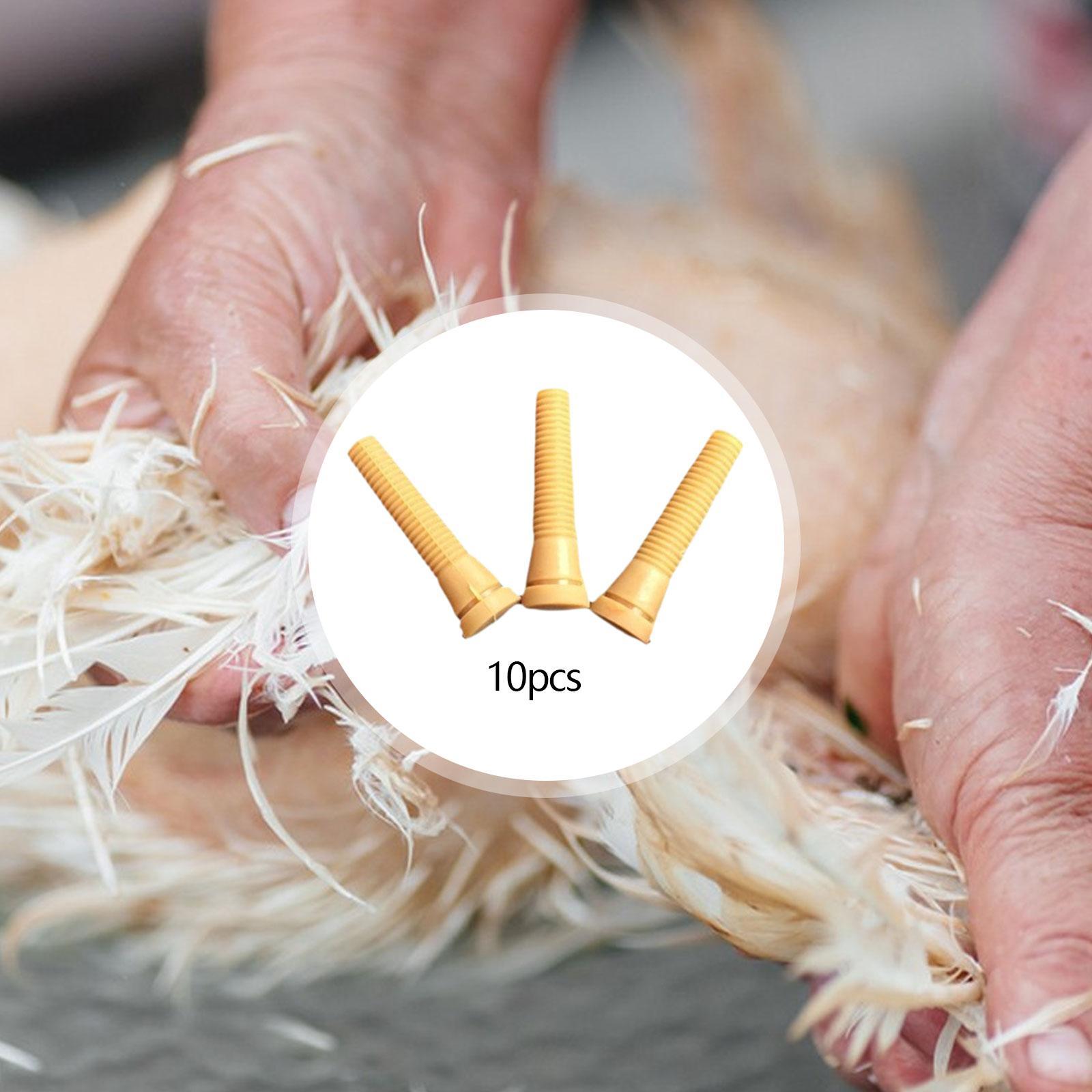 Piezas de Repuesto para Desplu - Chicken Plucker Machine reseña y precio
