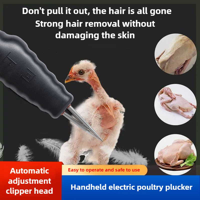 Desplumadora de Pollos Eléctri - Chicken Plucker Machine reseña y precio