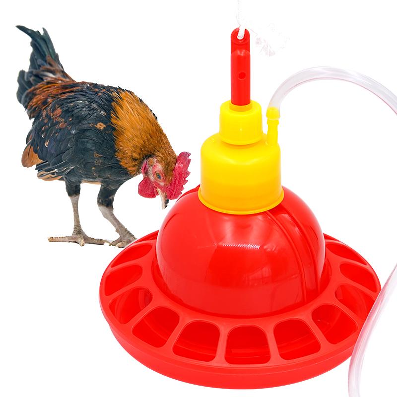 1 Juego de bebedero para pollo - Chicken Nipple Drinker reseña y precio