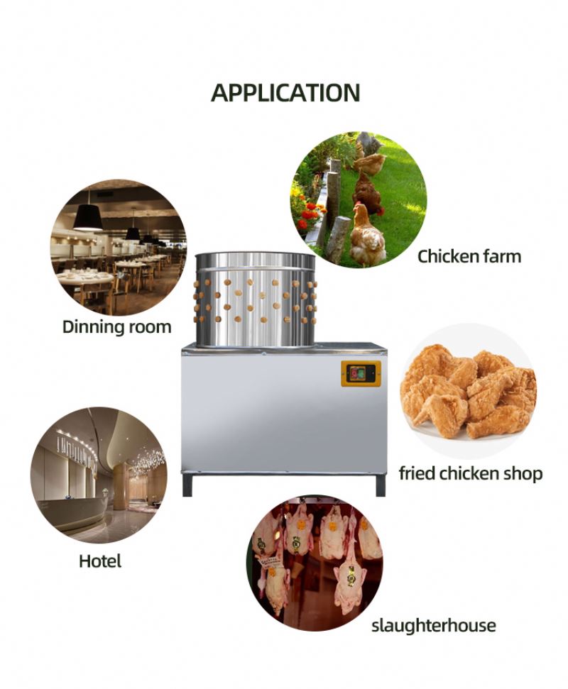 Máquina de Sacrificio de Pollo - Chicken Plucker Machine reseña y precio