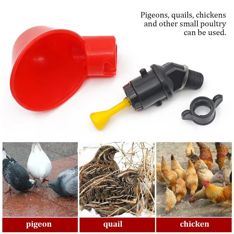 Tazas de agua colgantes para p - Chicken Nipple Drinker reseña y precio